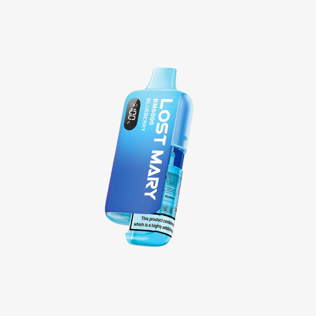 Lost Mary BM6000 Refillable Vape Kit-Blueberry vape device